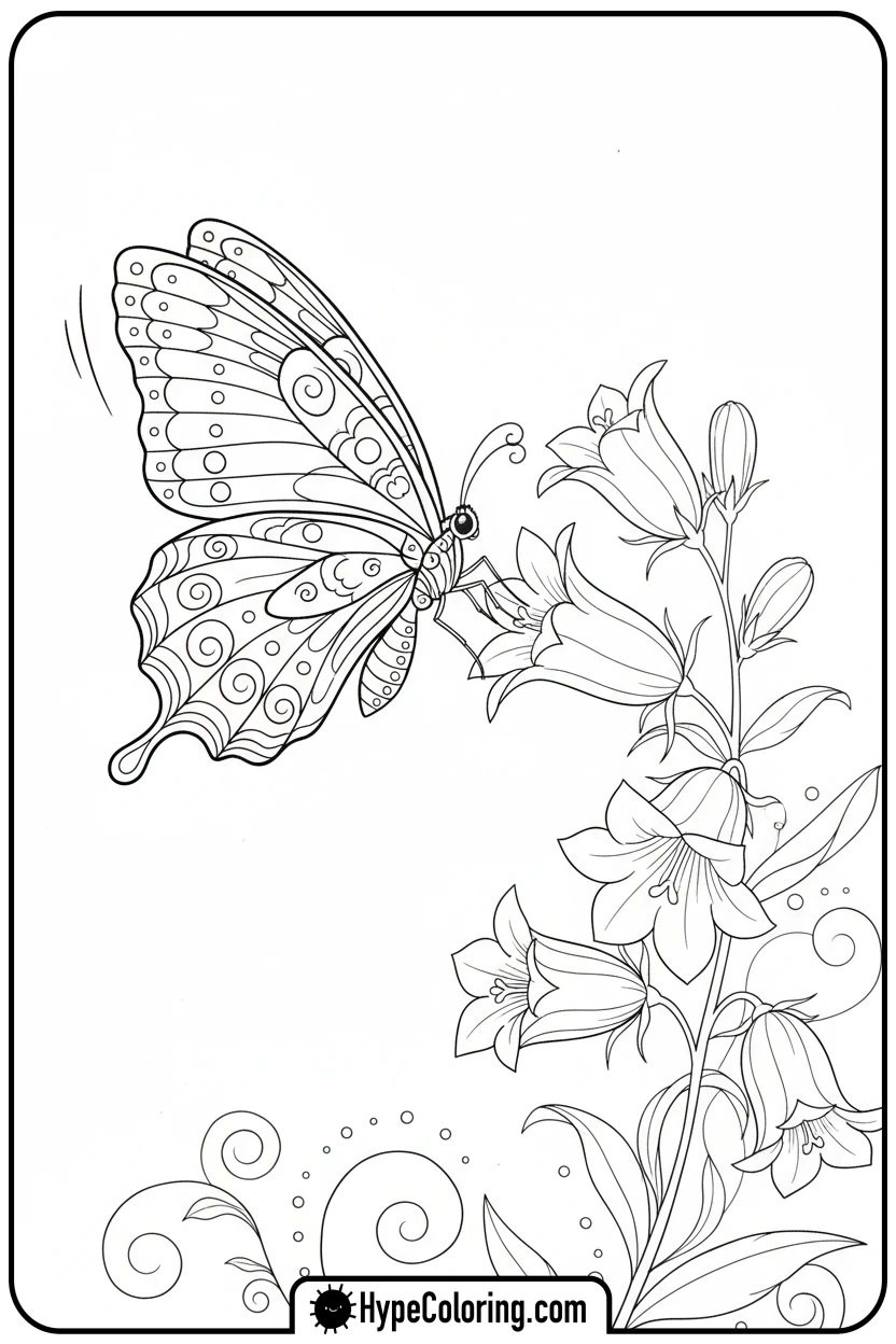 butterfly-drinking-from-bellflower - butterfly coloring sheet
