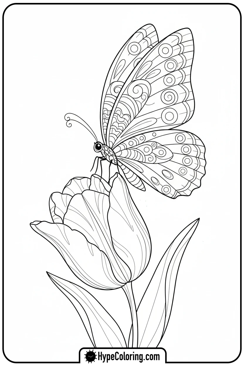 butterfly-on-tulip - spring coloring sheets