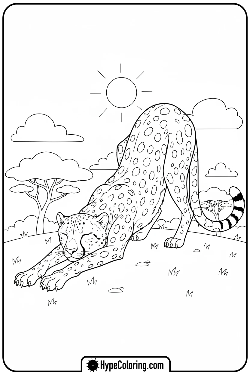 Click to download PDF cheetah-doing-morning-stretch - cheetah coloring page