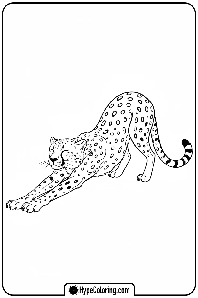 cheetah-stretching-gracefully - cheetah coloring pages