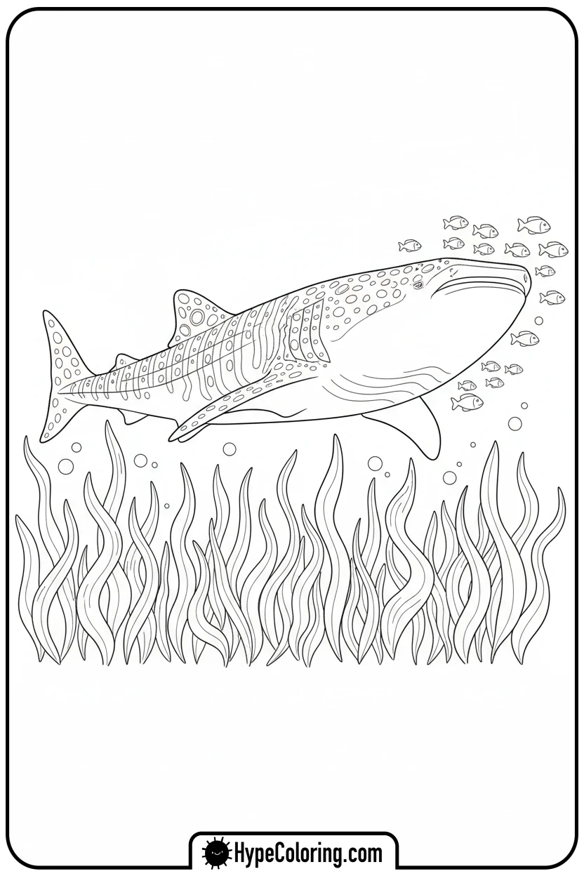 whale-shark-in-kelp-forest - coloring book pages of fish