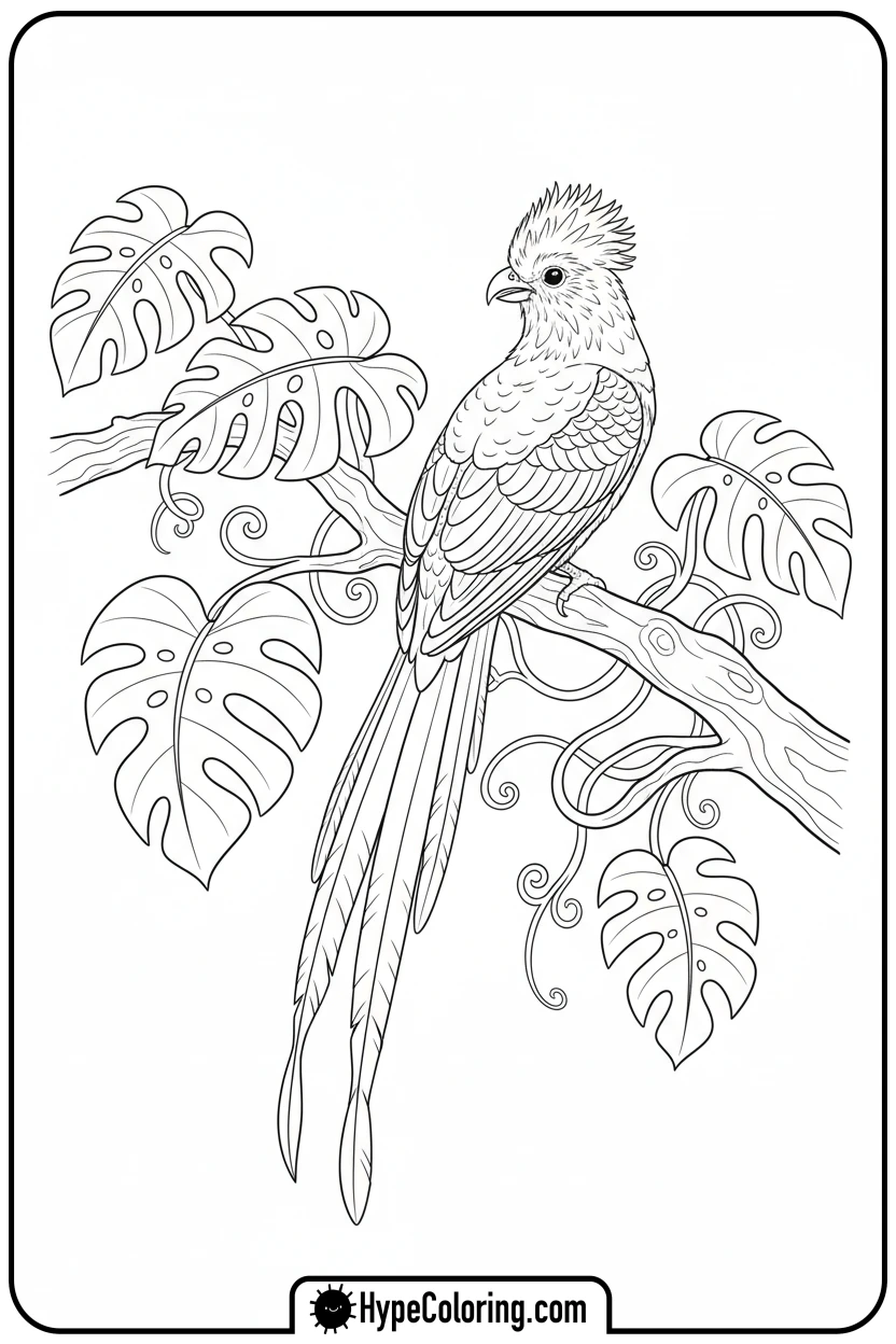 quetzal-bird-on-branch - hispanic heritage month coloring pages