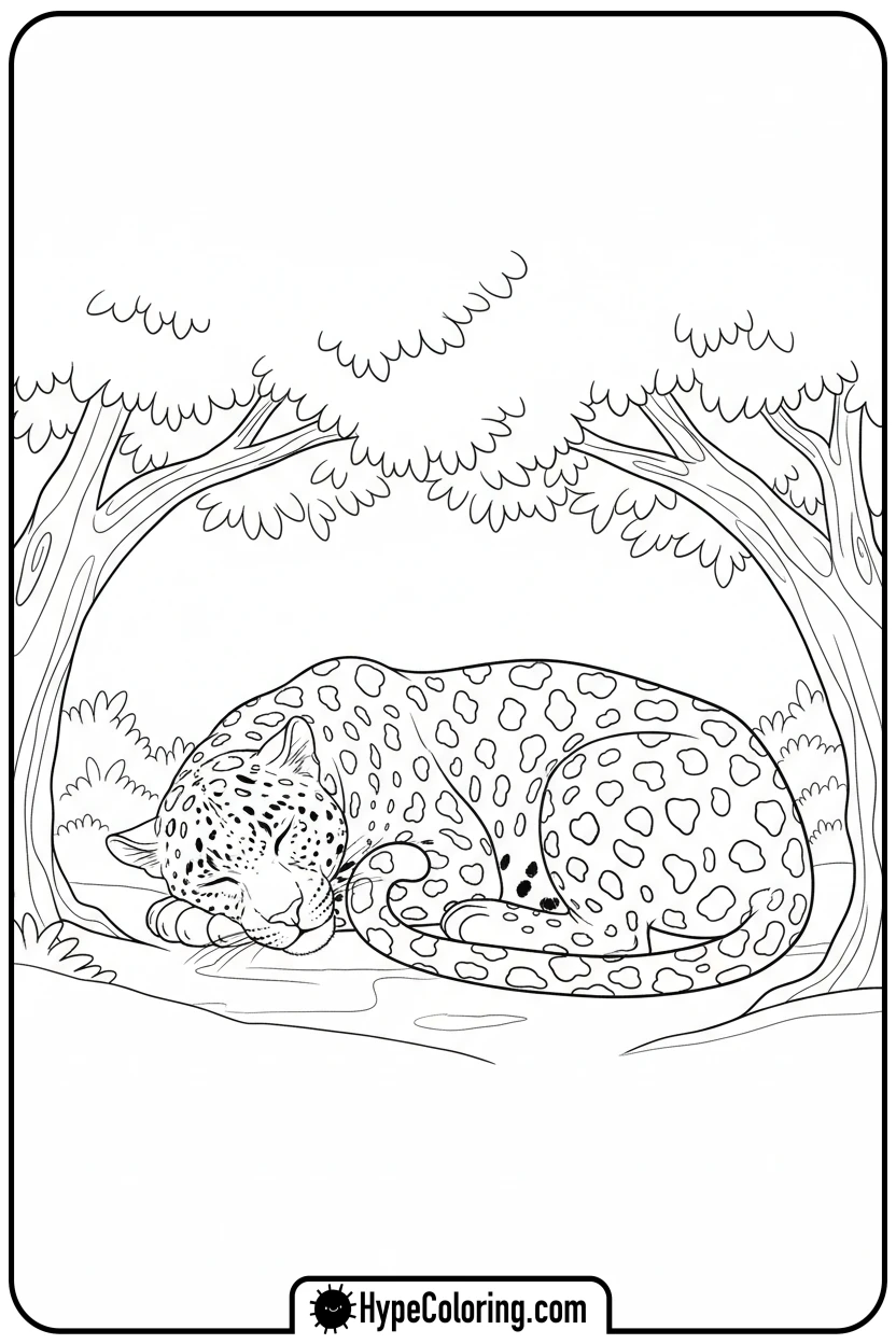 leopard-sleeping-curled-up - leopard coloring page