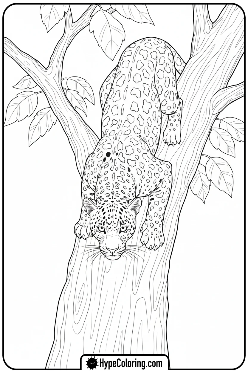 leopard-climbing-down-tree - leopard coloring page