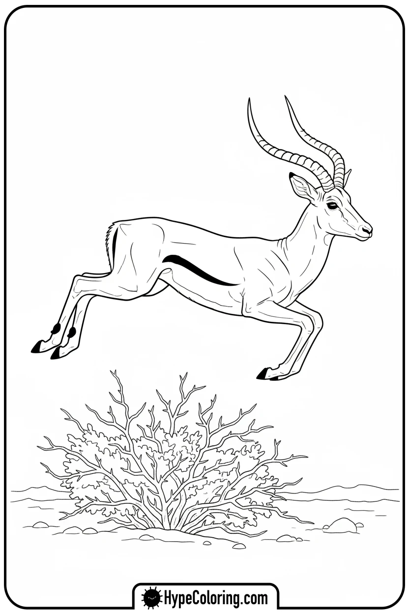 Click to download PDF impala-leaping-over-bush - coloring pages of savanna animals free printable